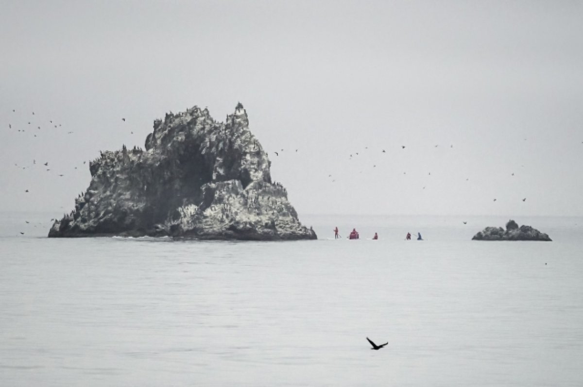   На Камчатке разработают единые правила посещения Халактырского пляжа