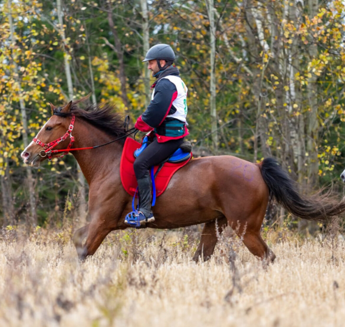 Марго под управлением Алексея Фролова.