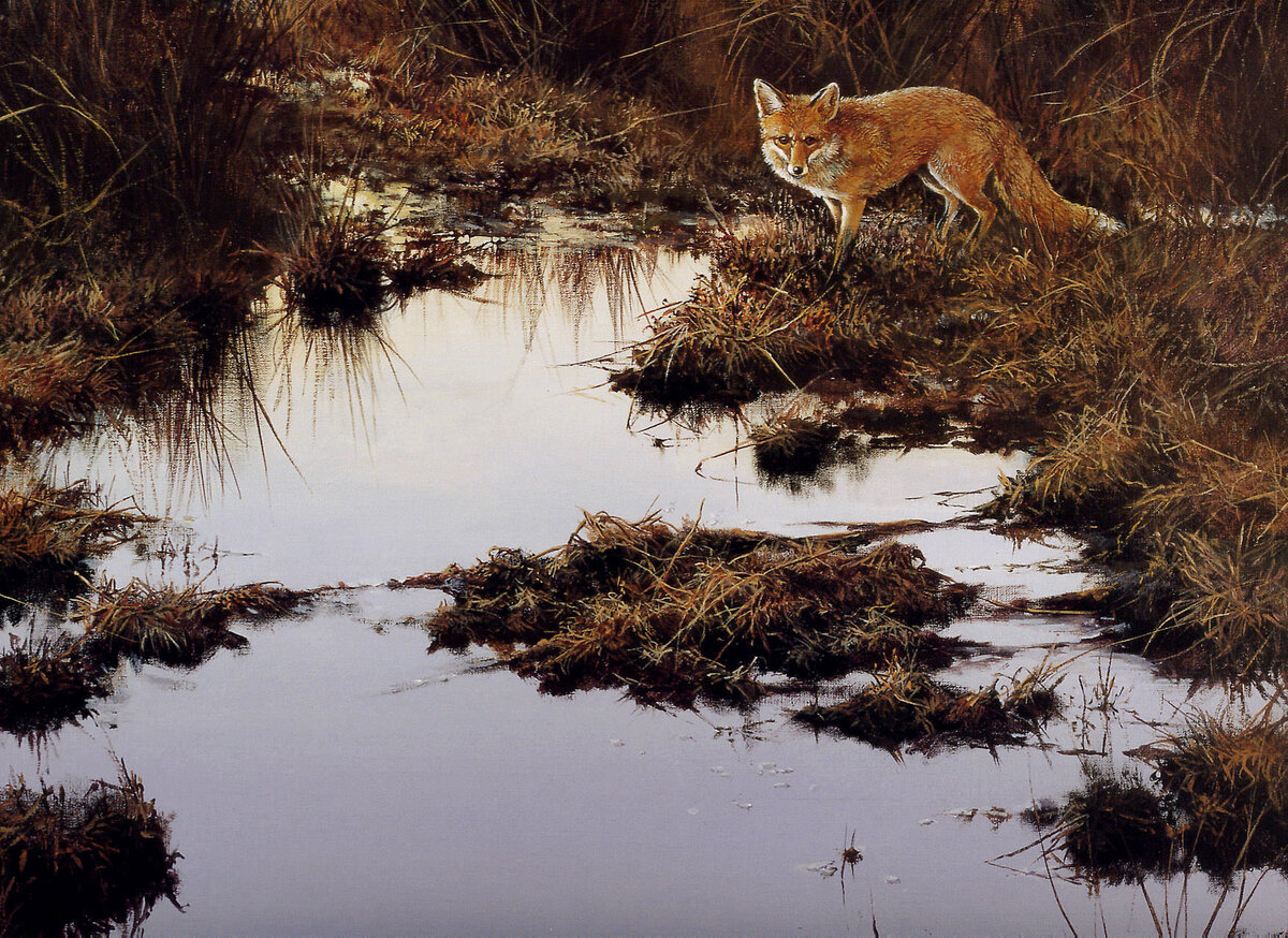 Да будет Питер Верстаппен!