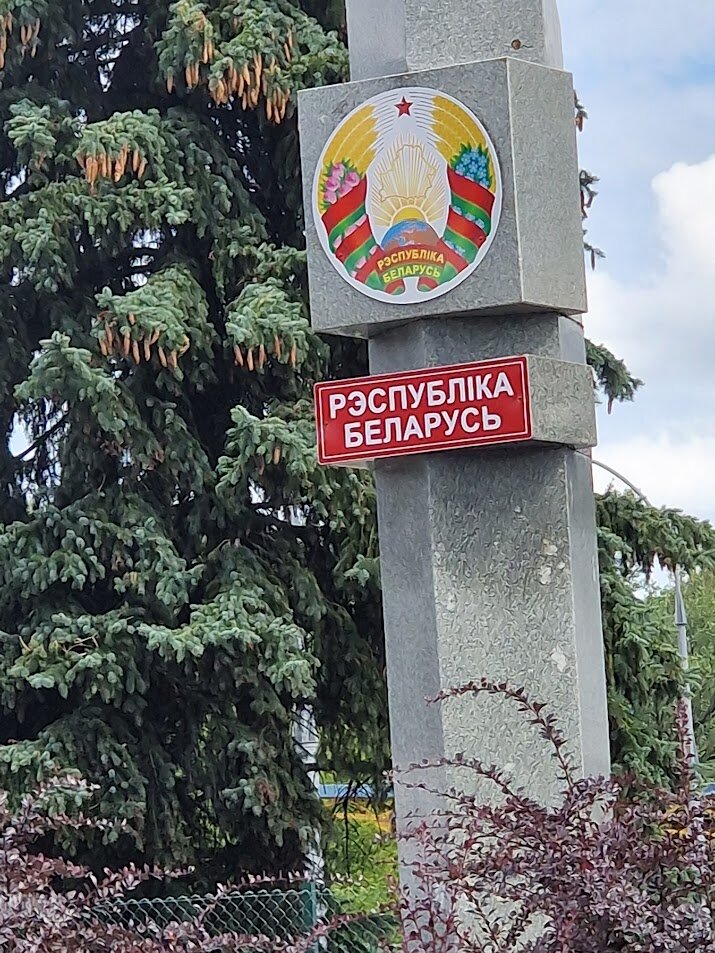 фото из окна машины