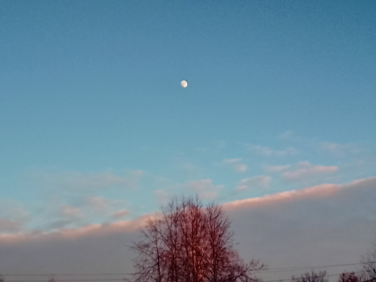 Позитивное фото, как смогла)))