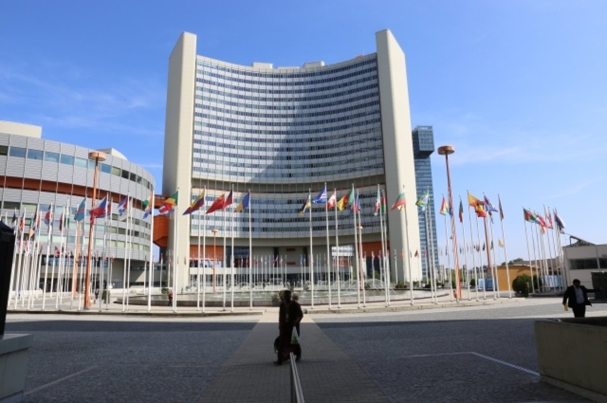    МАГАТЭ: санкции против РФ могут завести ядерную сферу в тупик