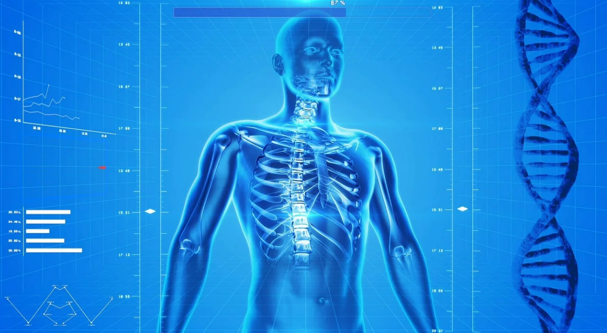 Источник: https://pixabay.com/