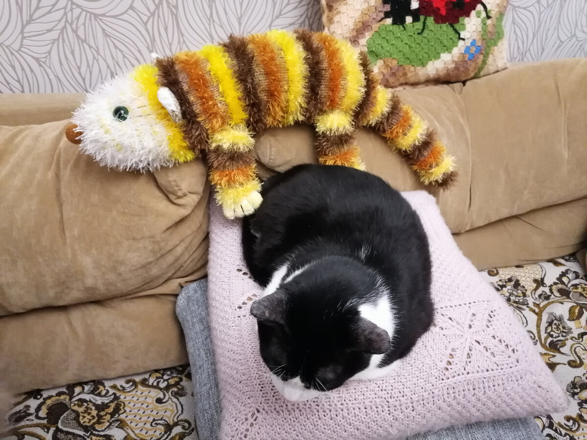 МК на диванного кота у меня на канале. 