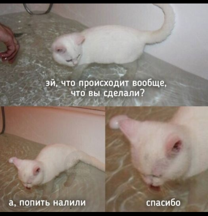 4. Евровинт 661. 123-45-67 умножить на 910-11-12 13 14 15 16 17 18 19 20 21 20 23 а 4 25 6 27. 9-2*1/5=8*5/5-2*1/5=6*4/5. Порядковые числительные на английском языке от 1 до 20.