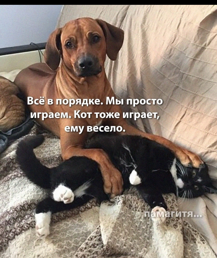 8 15 5 6 9 10. 3,2 × 6,3. Нвку 48-12-23. Нвку 44-12-17. 8 15 5 6 9 10.