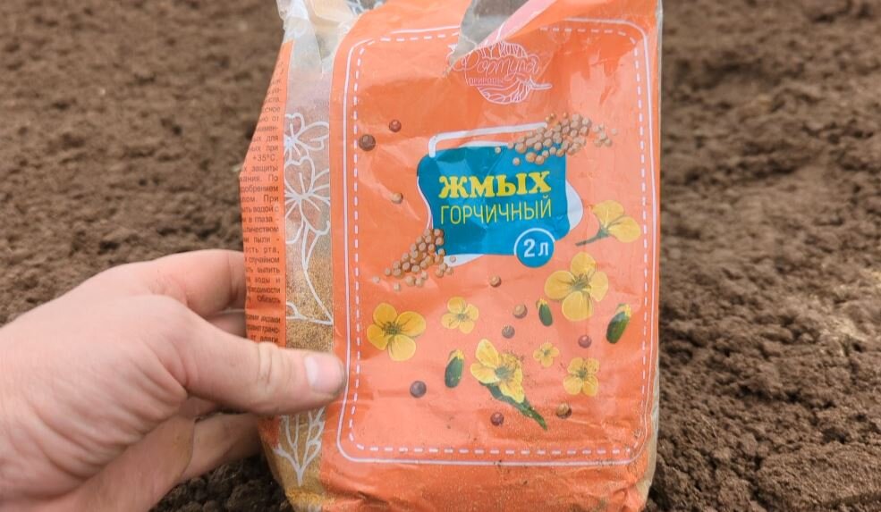 Даже самую бедную неплодородную почву можно легко улучшить этим ...