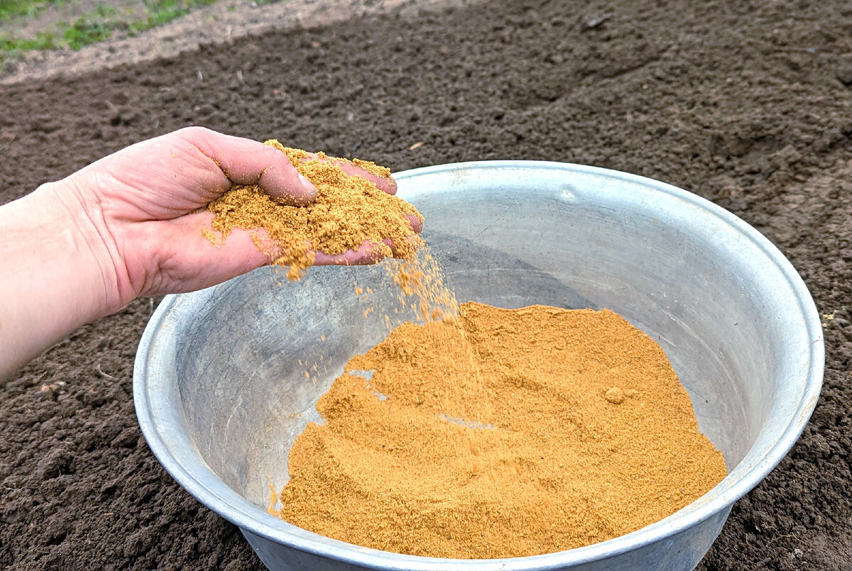 Даже самую бедную неплодородную почву можно легко улучшить этим ...