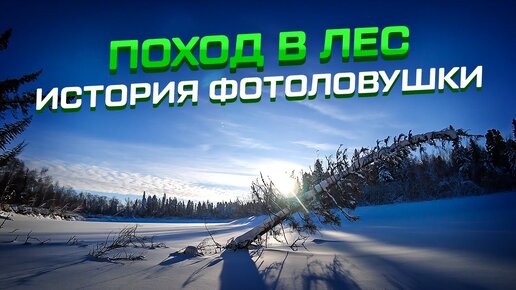 Поход в лес, охота на рябчиков! История фотоловушки! #жизньвлесу