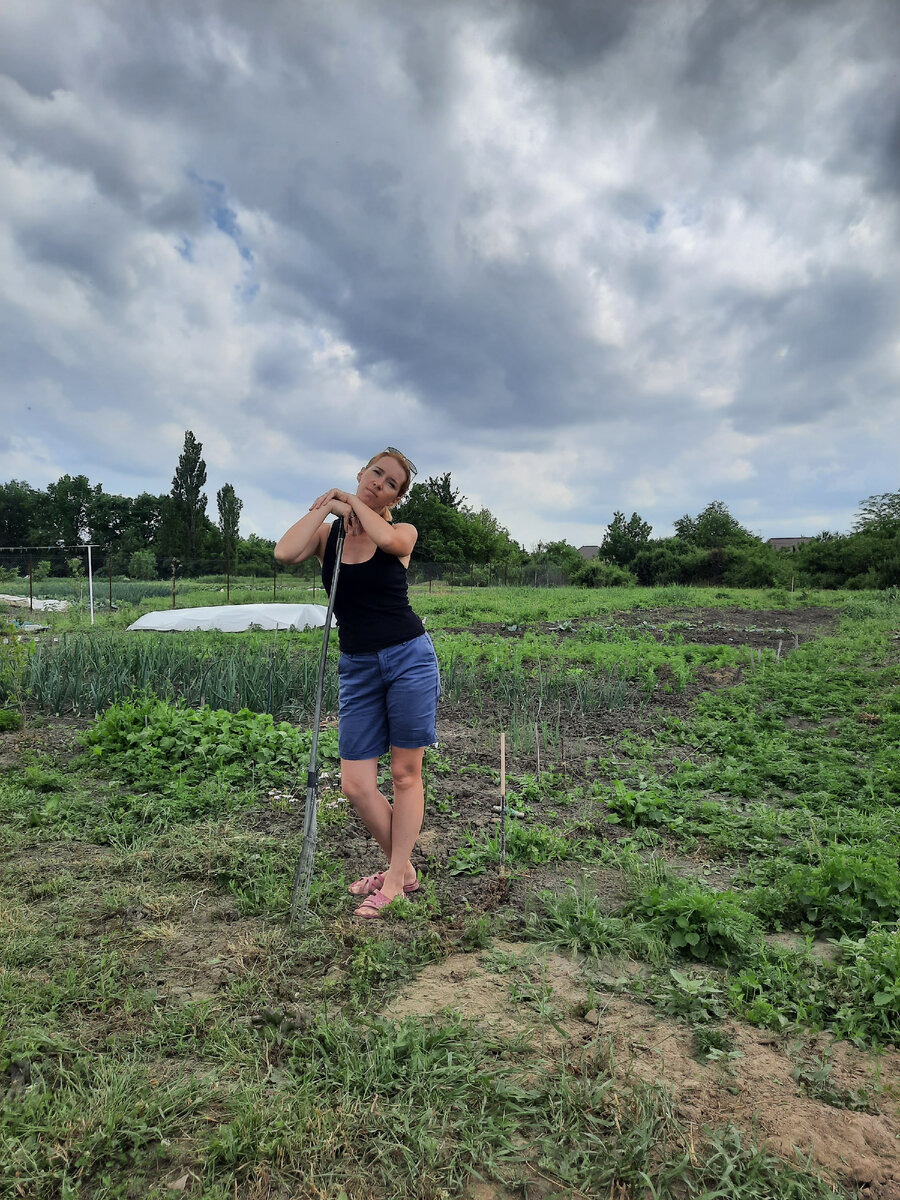 Начало сезона 2022. Поднимаем целину