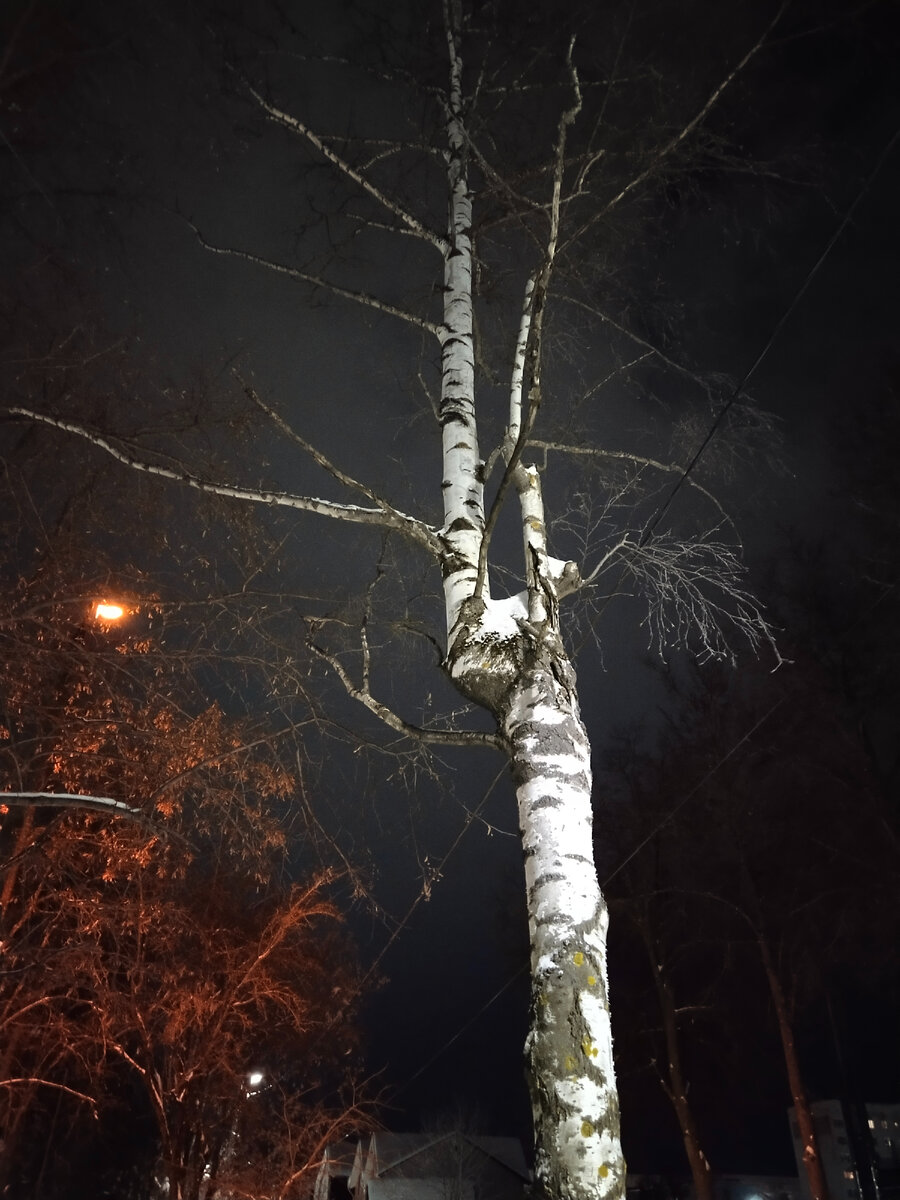 Личное фото