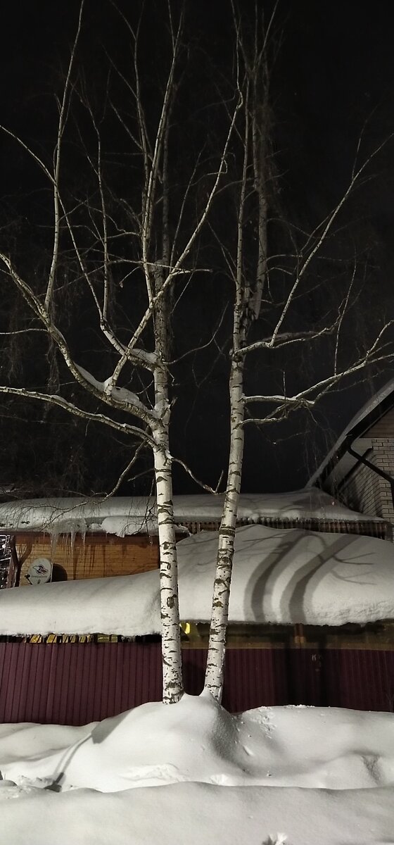 Личное фото