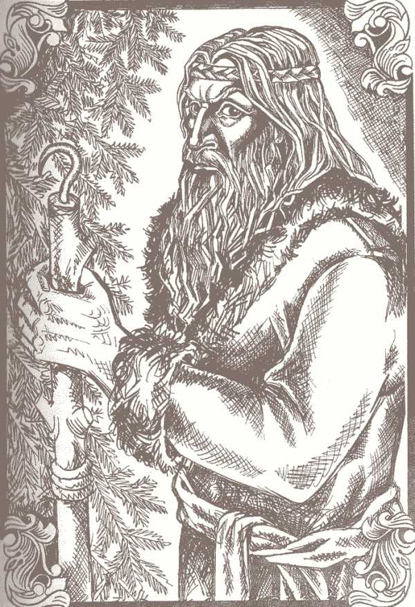 Иллюстрация Надежды Антиповой