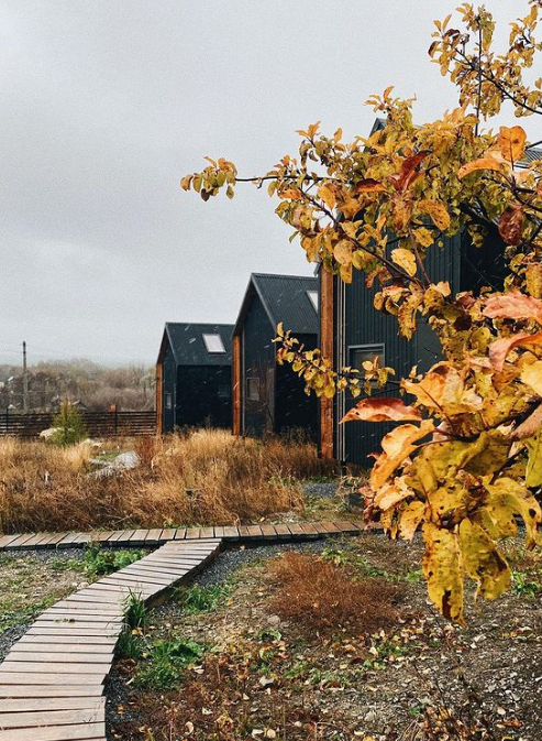поддержка мужчины цитаты. высказывания про чувства и эмоции. она была сама чувством. я счастлива цитаты. мужчина думает о прошлом.