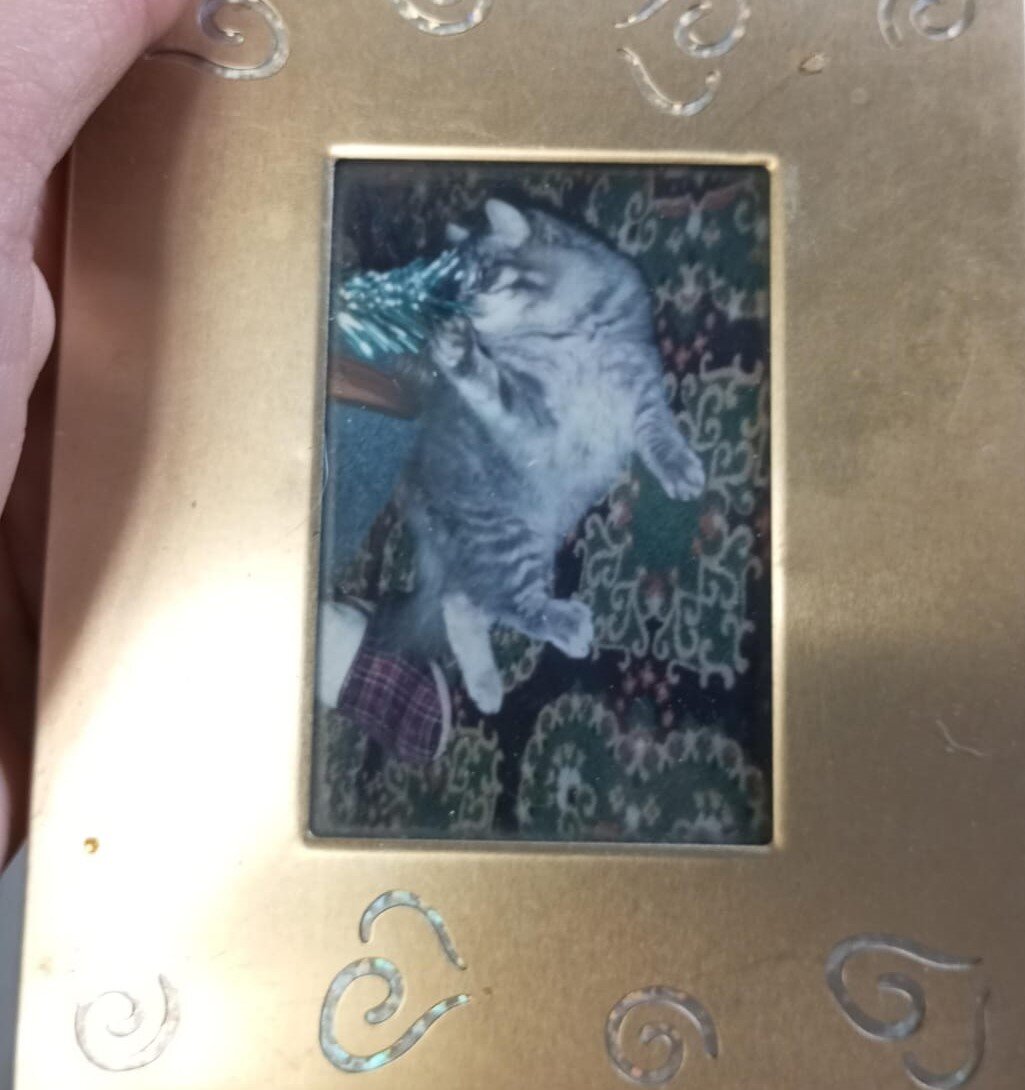 Фото предоставлено Ольгой МАТКИНОЙ)