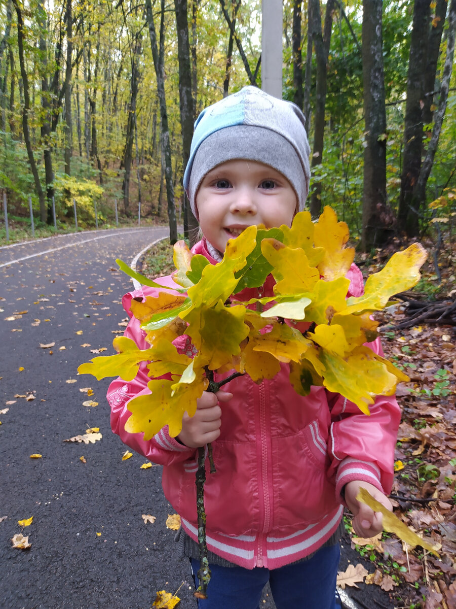 Чтобы процесс тренировки памяти у ребёнка проходил легко и весело - помогут развивающие игры