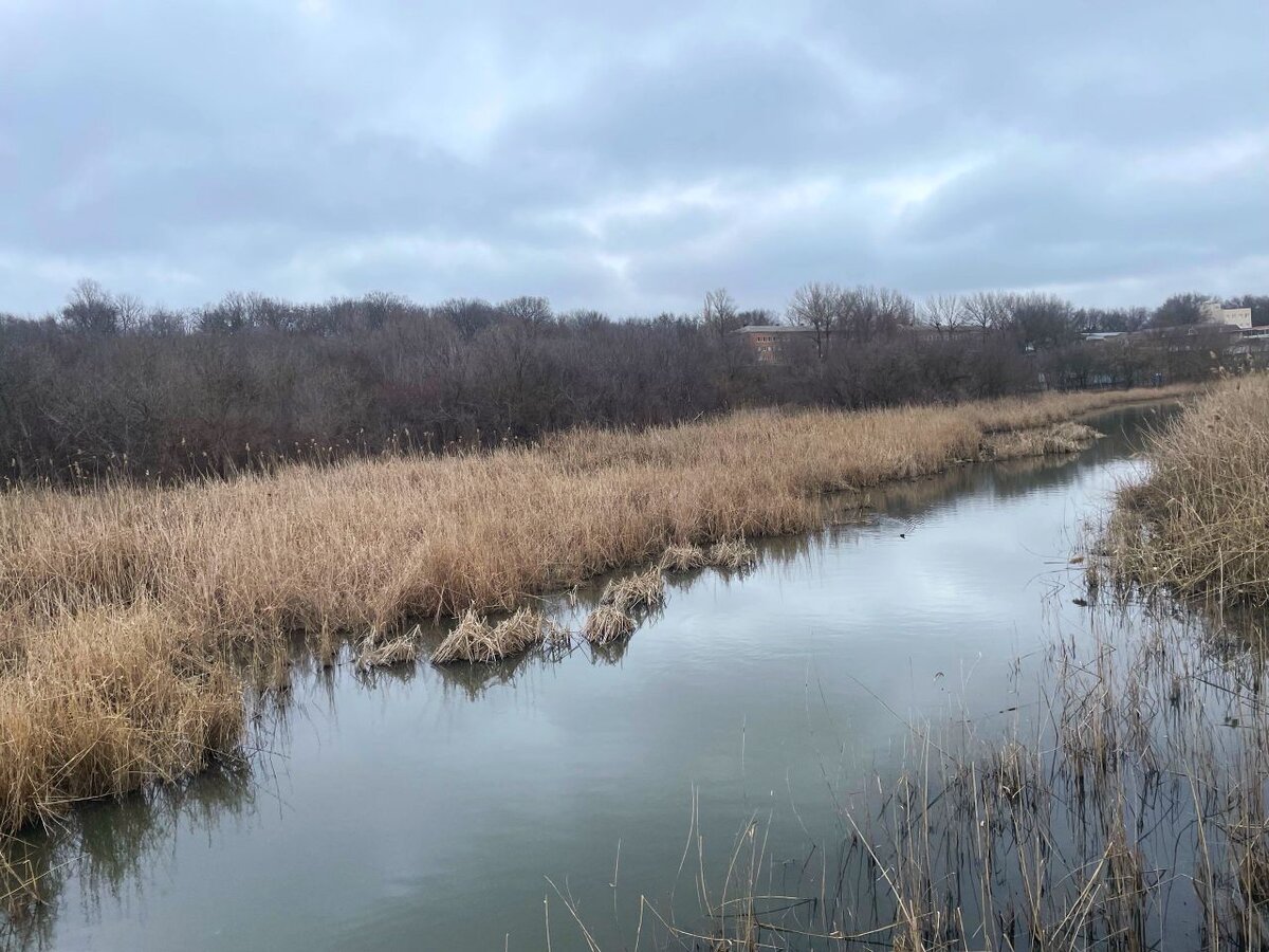 Фото Александра Капалета.