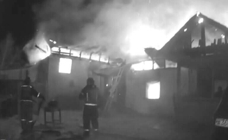    Фото: скриншот из видео от Амурского центра ГЗ и ПБ