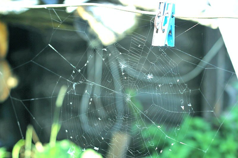 Мировая сеть в местной ситуации