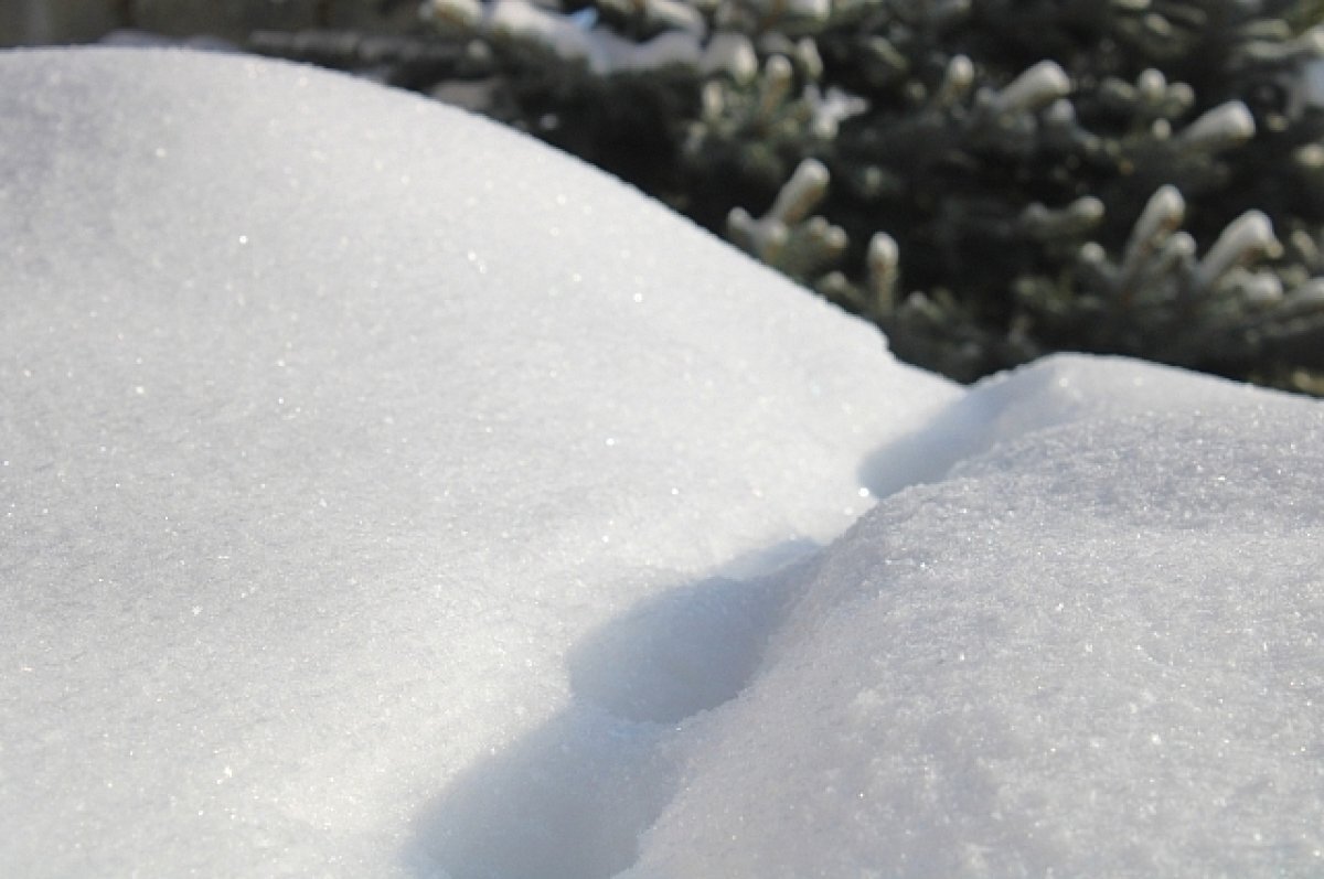    В Юрьев-Польском переселенец из Донбасса слепил новую снежную фигуру