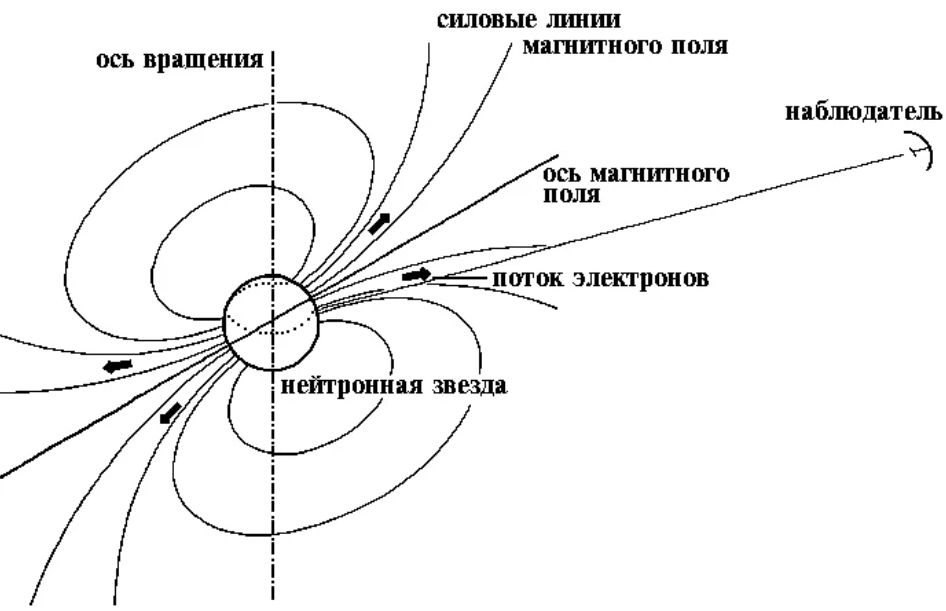 Образование магнитного поля нейтронной звезды