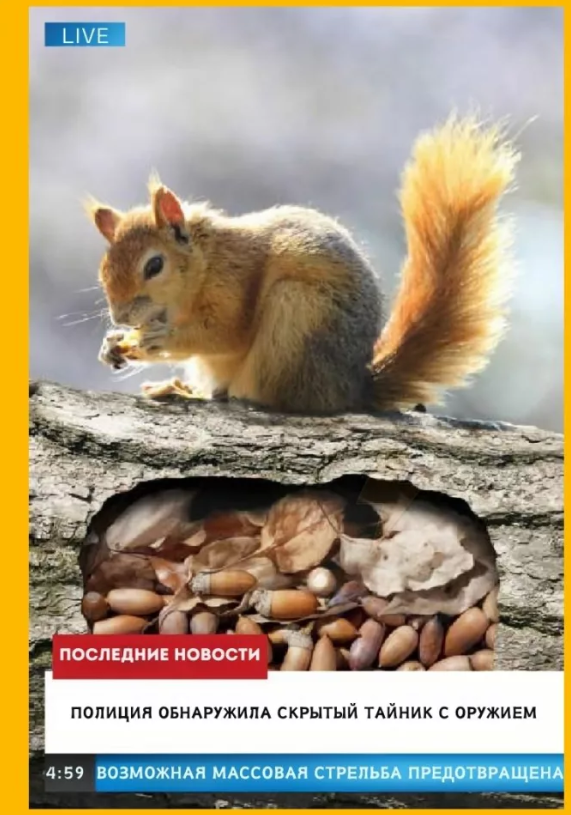 из открытых источников