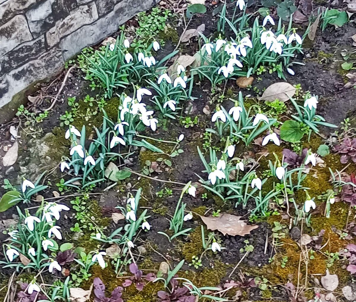 Фото автора. Совсем скоро! 