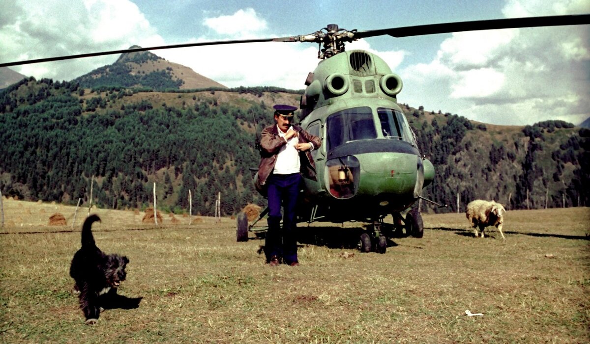    Фото: Russian Look / www.globallookpress.com