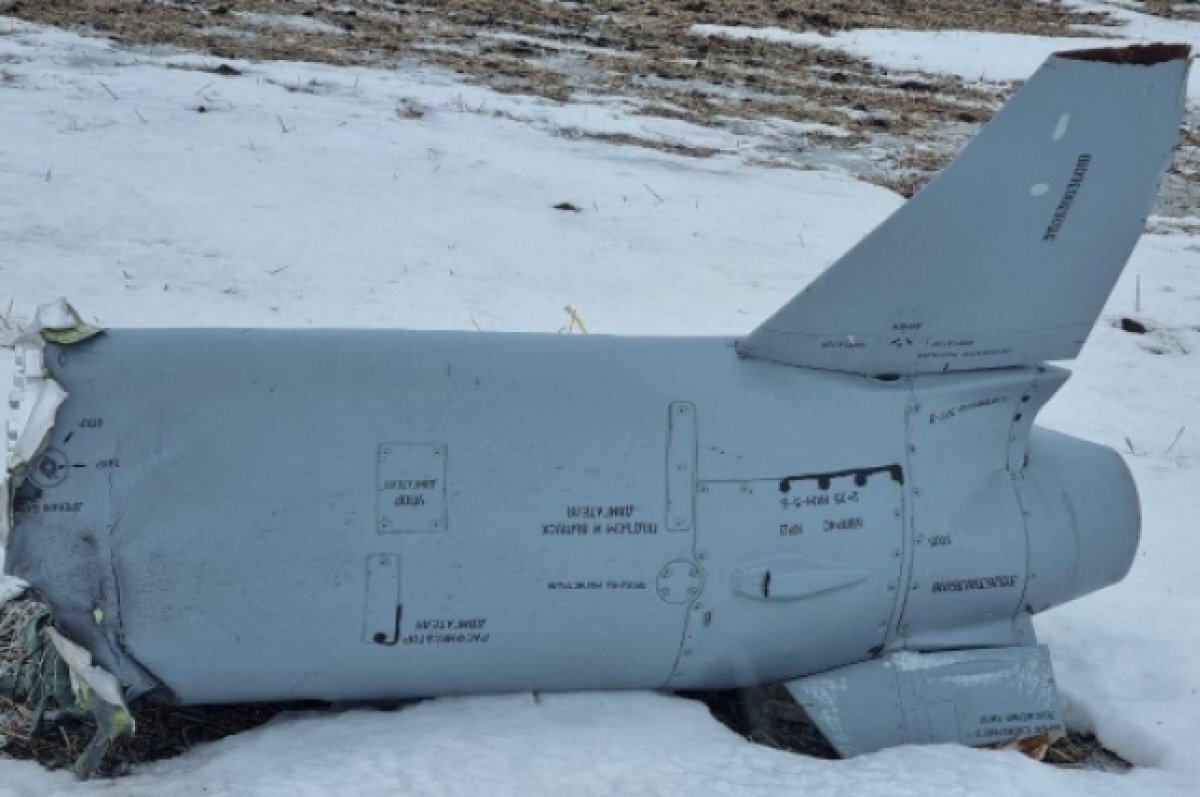    Обломки БПЛА засняли местные жители в окрестностях Вязовки под Волгоградом