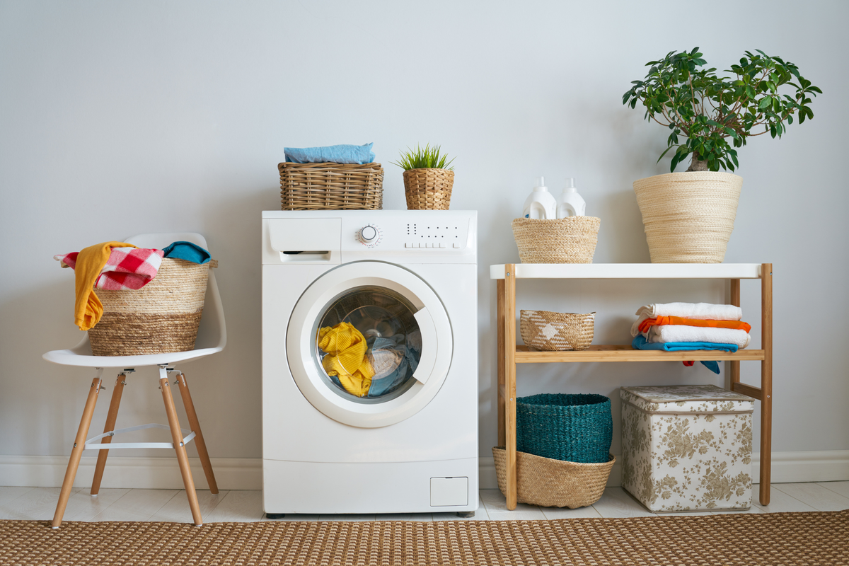 Источник фото: Canva