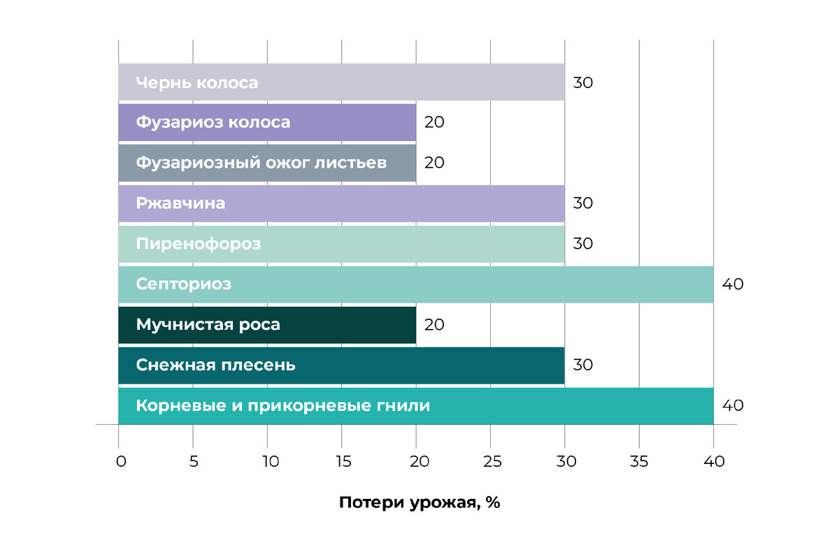 Рис. 1 – Наиболее распространенные болезни зерновых культур в РФ и потенциальные потери урожая в эпифитотийные годы (по данным ВНИИФ) 