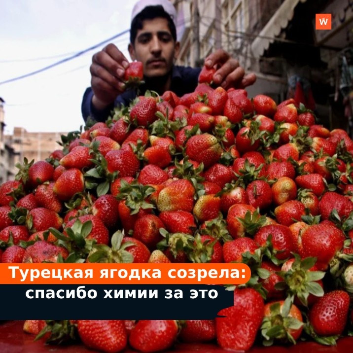 Полезный. Здоровое питание овощи и фрукты. Когда лучше есть фрукты. Что будет если питаться только фруктами. Самые полезные продукты.