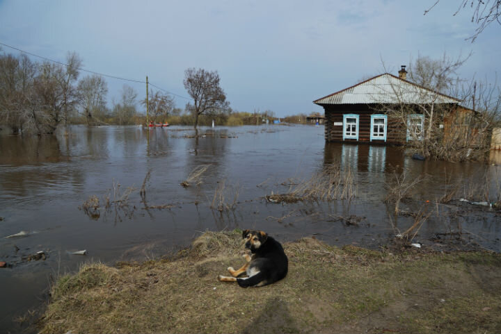 ФОТО: Алексей Булатов