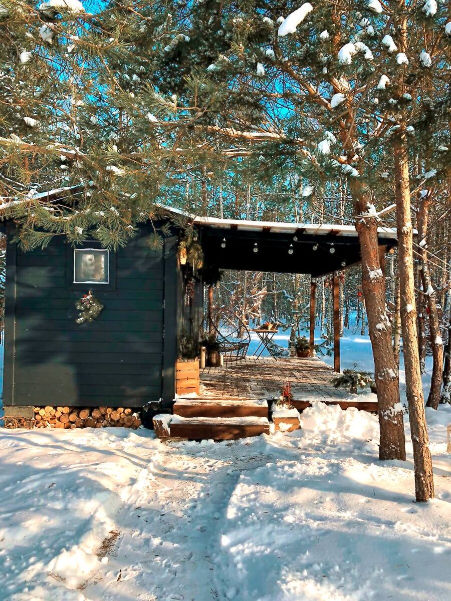 Tinydacha можжевельник