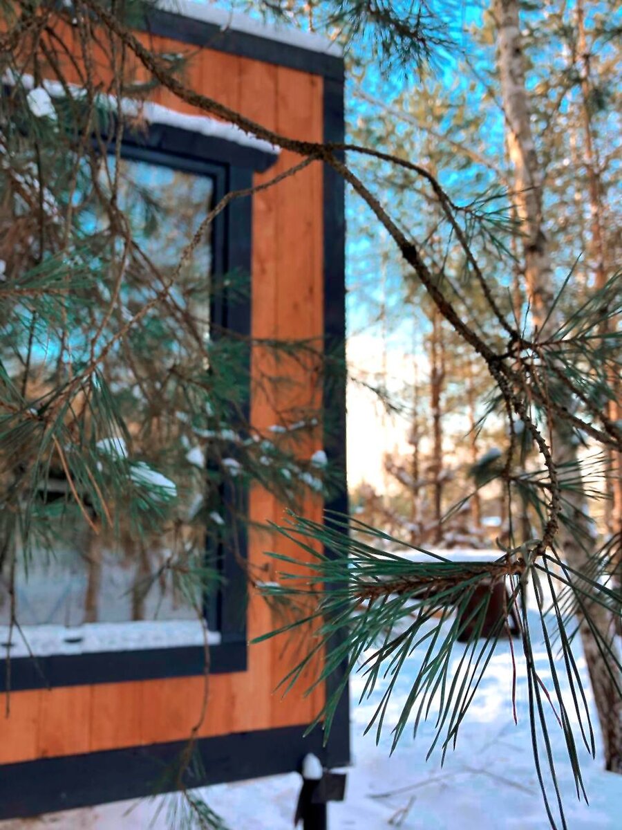 TinyDacha Баня