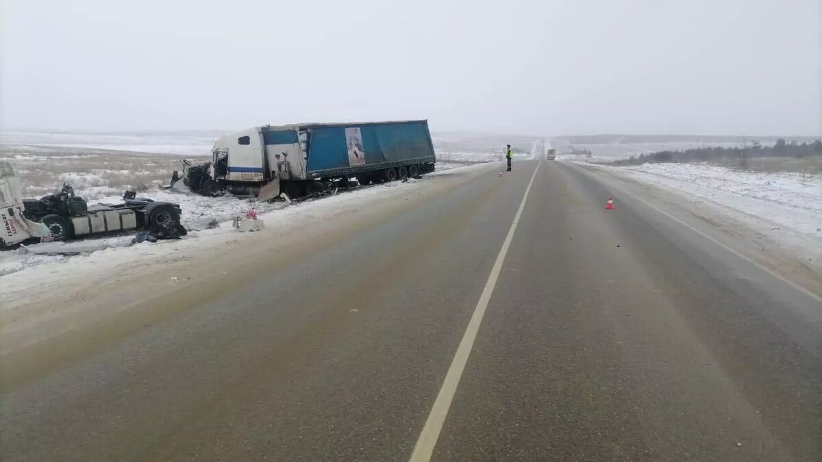 Телеканал россия волгоград. Россия 1 вести волгоград. Волгоград 24 сегодня. Ведущие канала волгоград 24. Москва 24 сегодняшний выпуск новостей смотреть в записи.