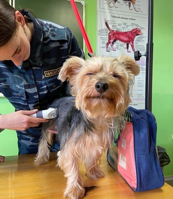     Ивановский юридический колледж выпускает грумеров