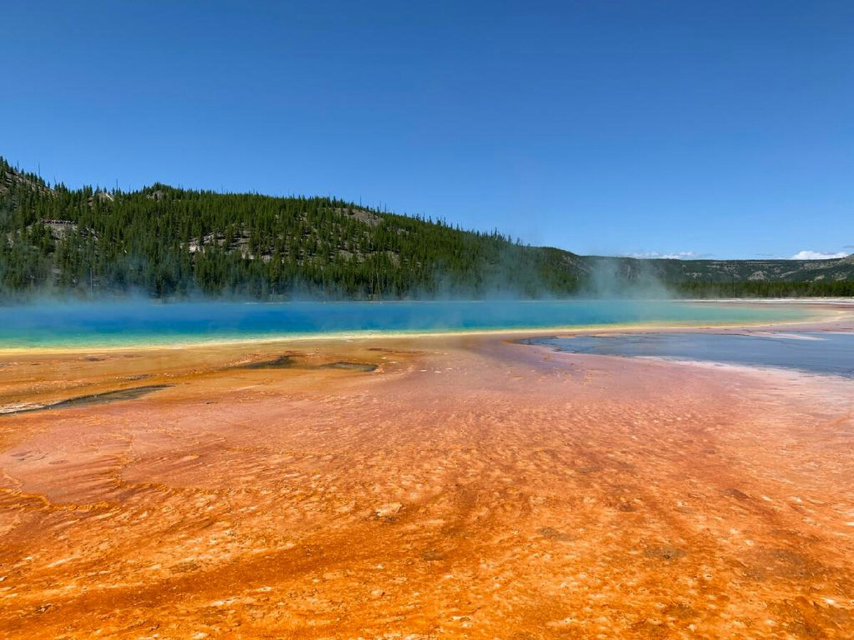 Картинка с бесплатного фотостока https://unsplash.com, автор Radhika Gulabrani