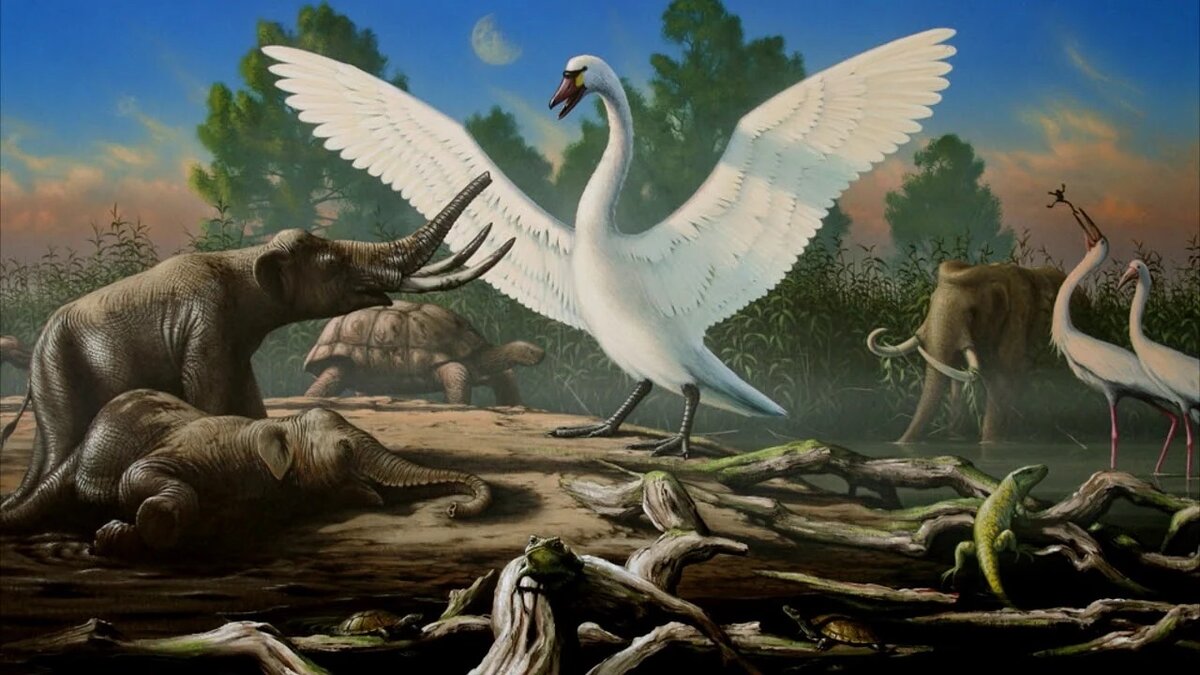 Так изображают гигантского лебедя современные художники