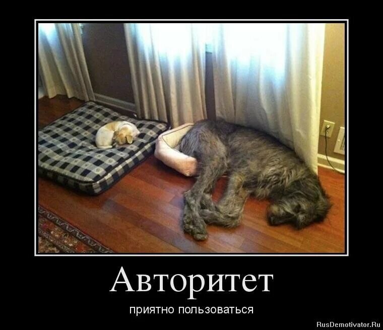 Из открытых источников. 