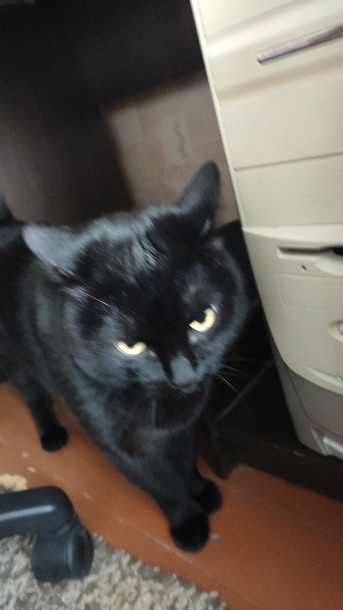 Фото автора. 