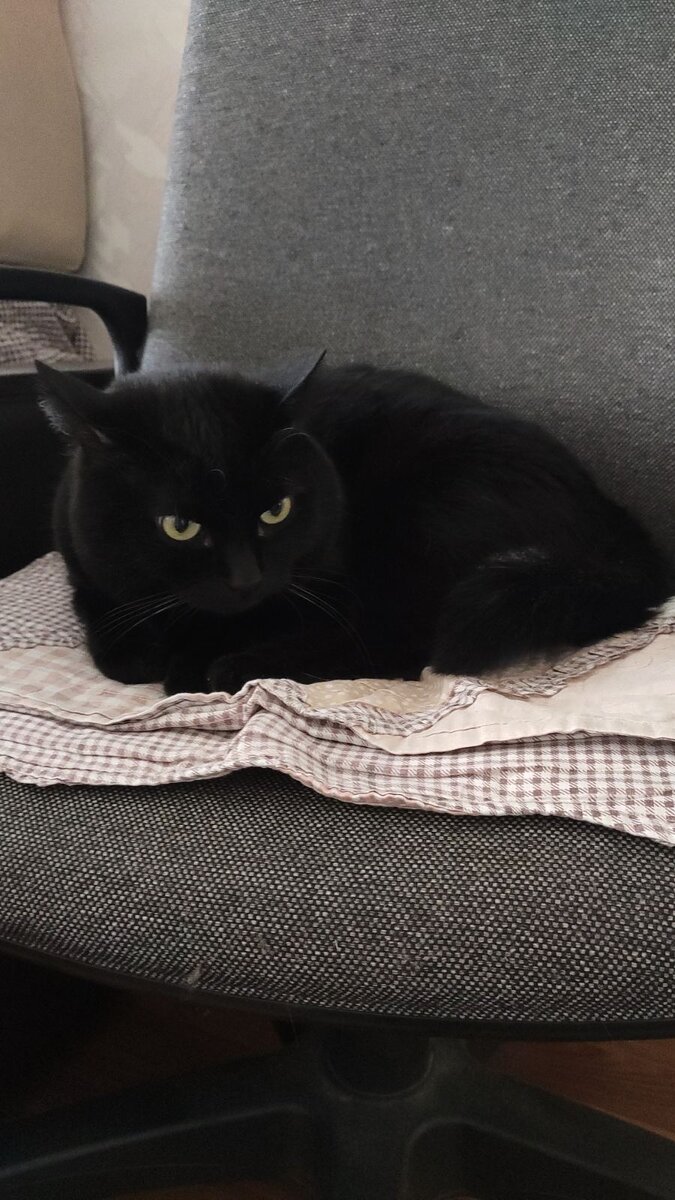 Фото автора.