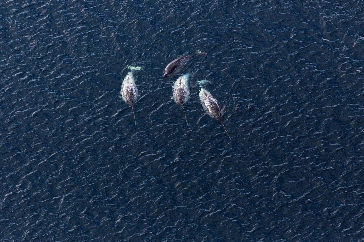 Листай вправо➡