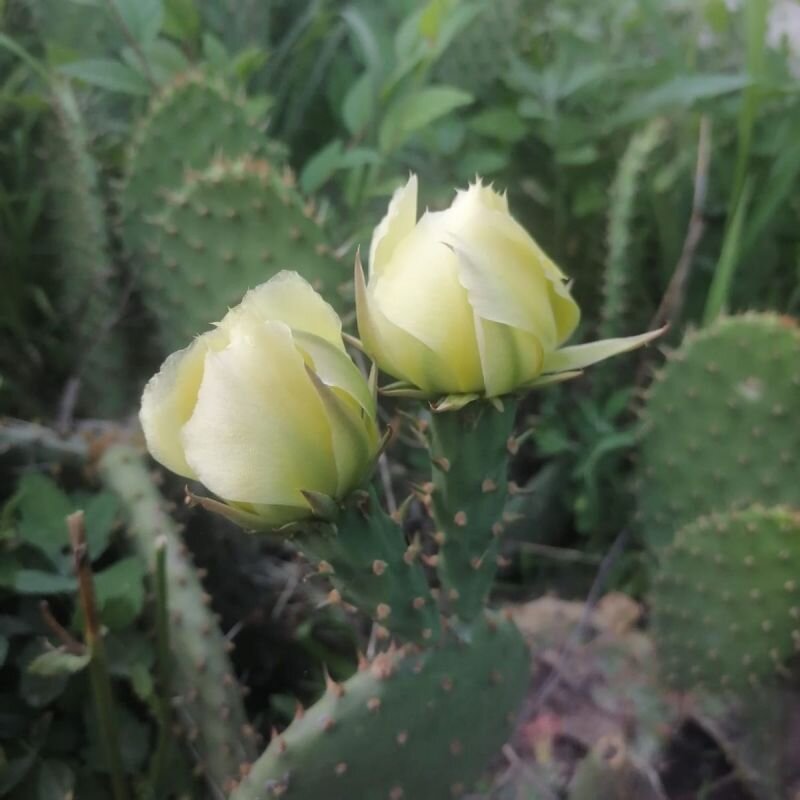 Фото: из архива КаспийИнфо