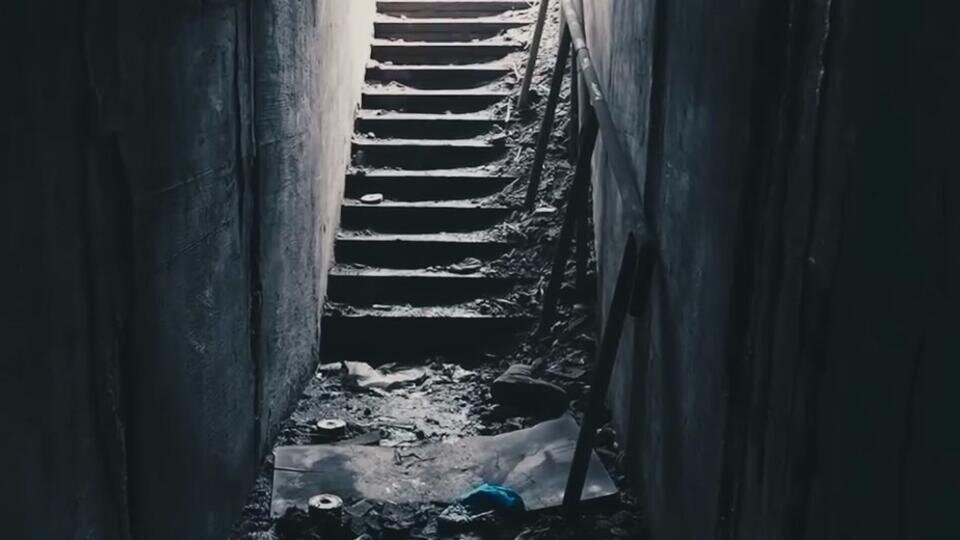 Фото: скриншот видео