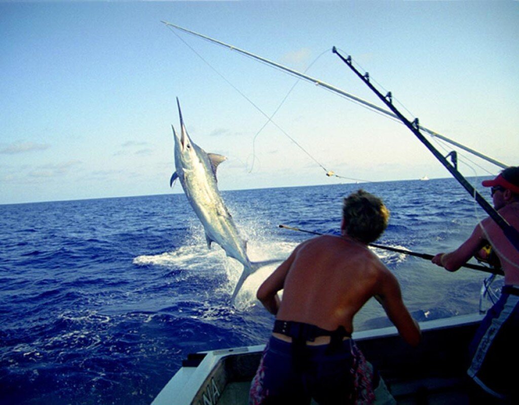 Ловись рыбка большая и очень большая