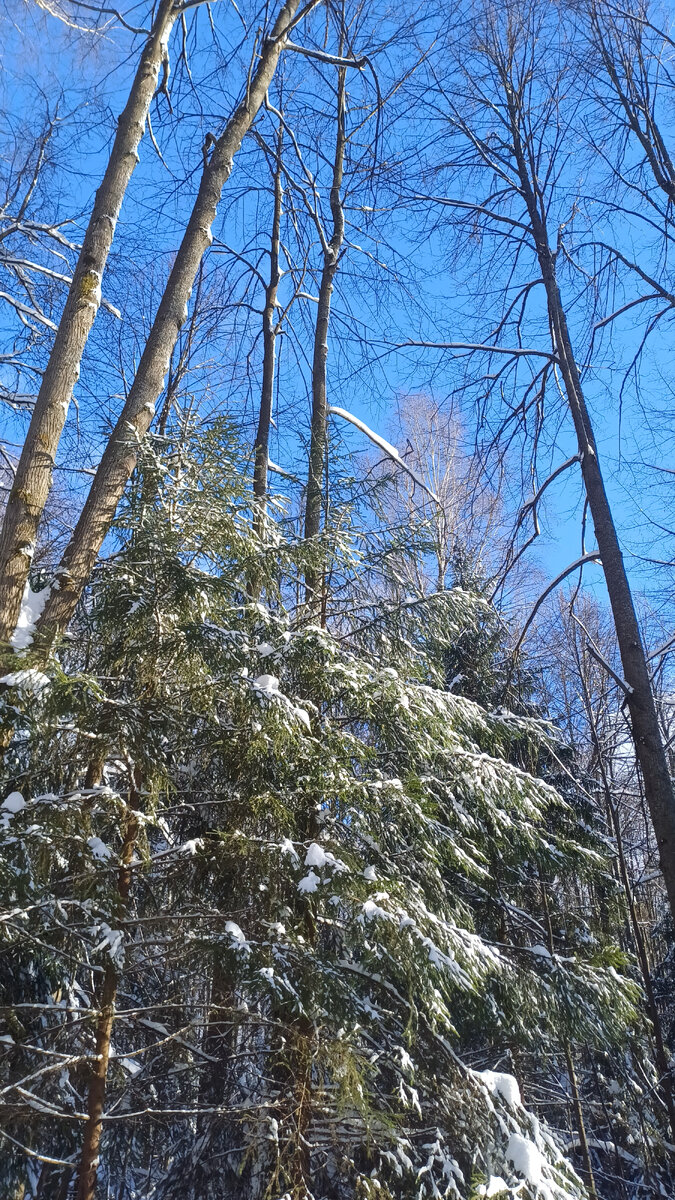 Фотографии автора Татьяны Федотовой