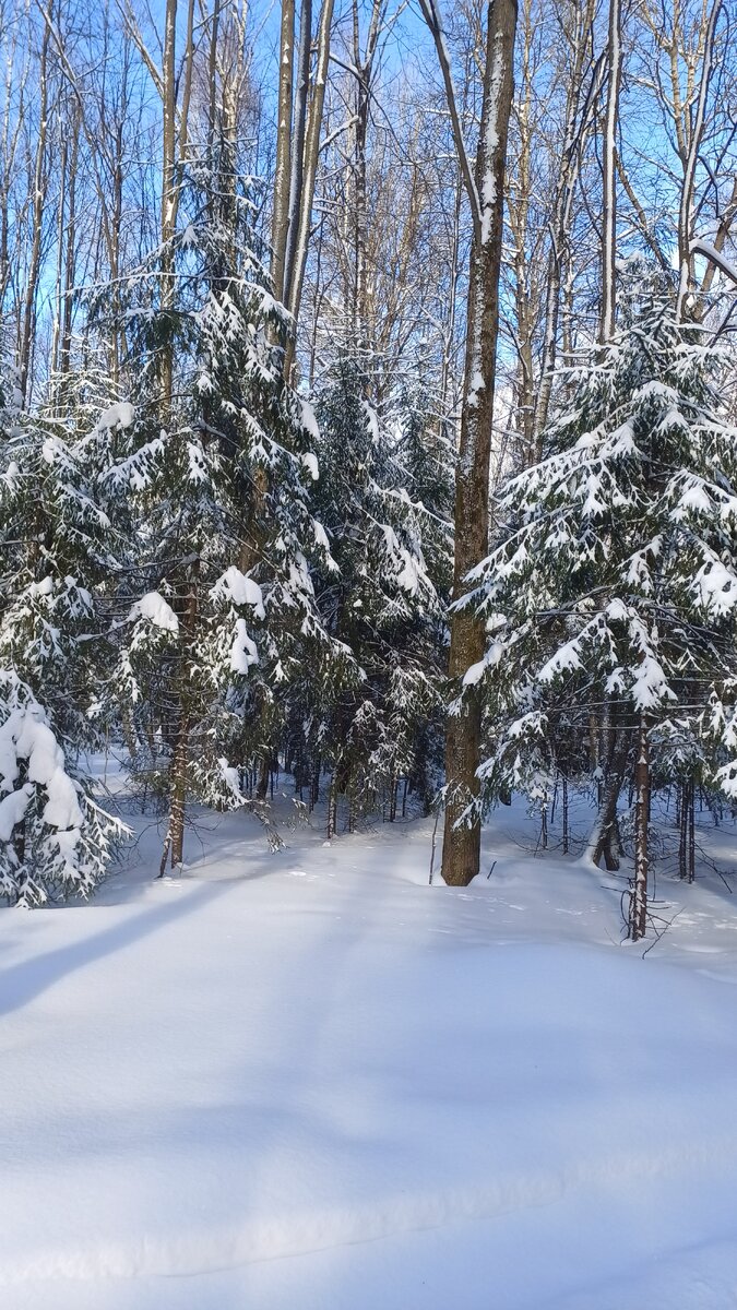 Авторское фото Татьяны Федотовой