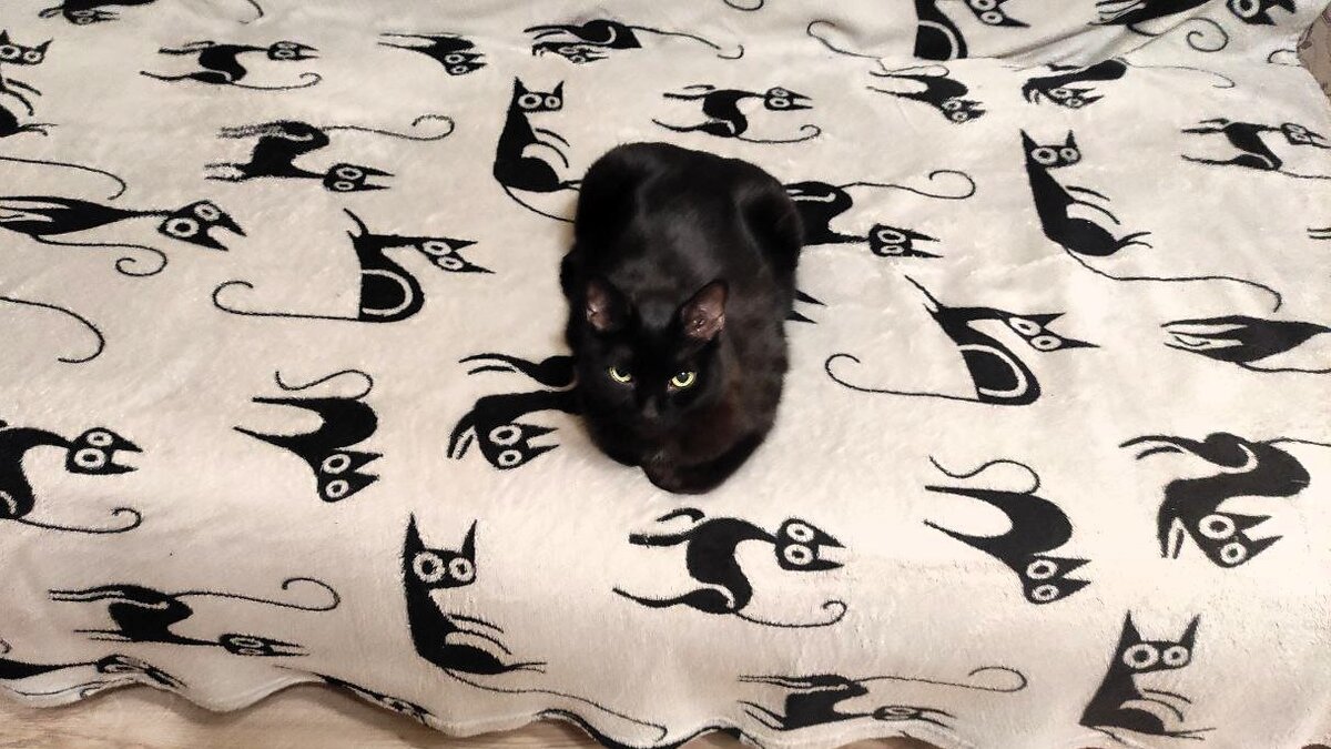 И что!? На что ты тут пытаешься намекнуть