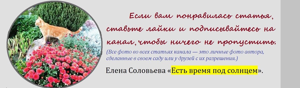 Со слезами на глазах Куба прощается со своим команданте. Новости. Первый канал